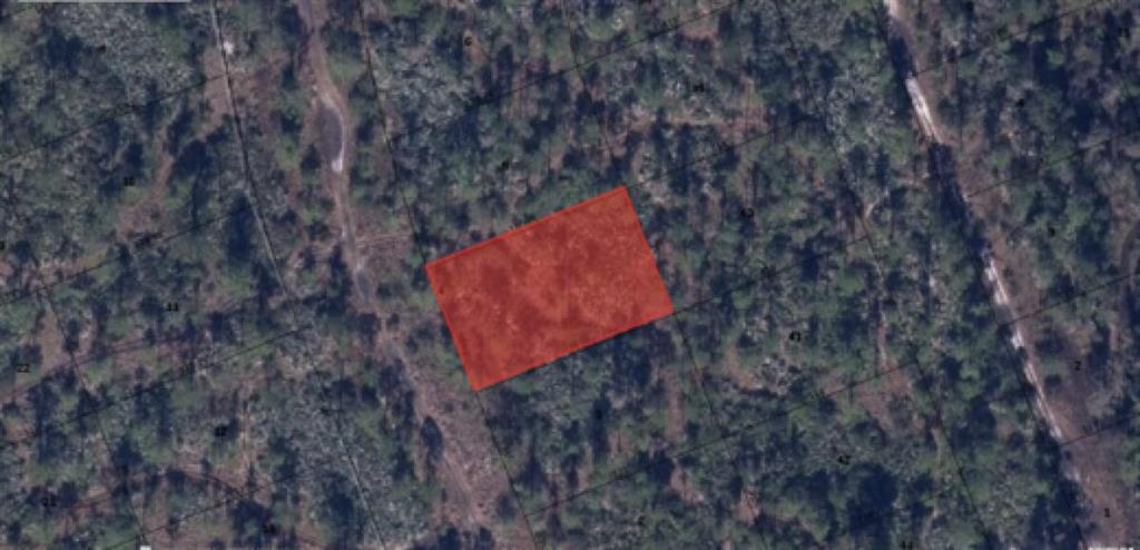 POINCIANA GARDENS SECTION 1 - Land