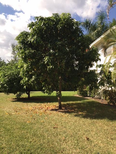 CENTURY VILLAGE - Residential