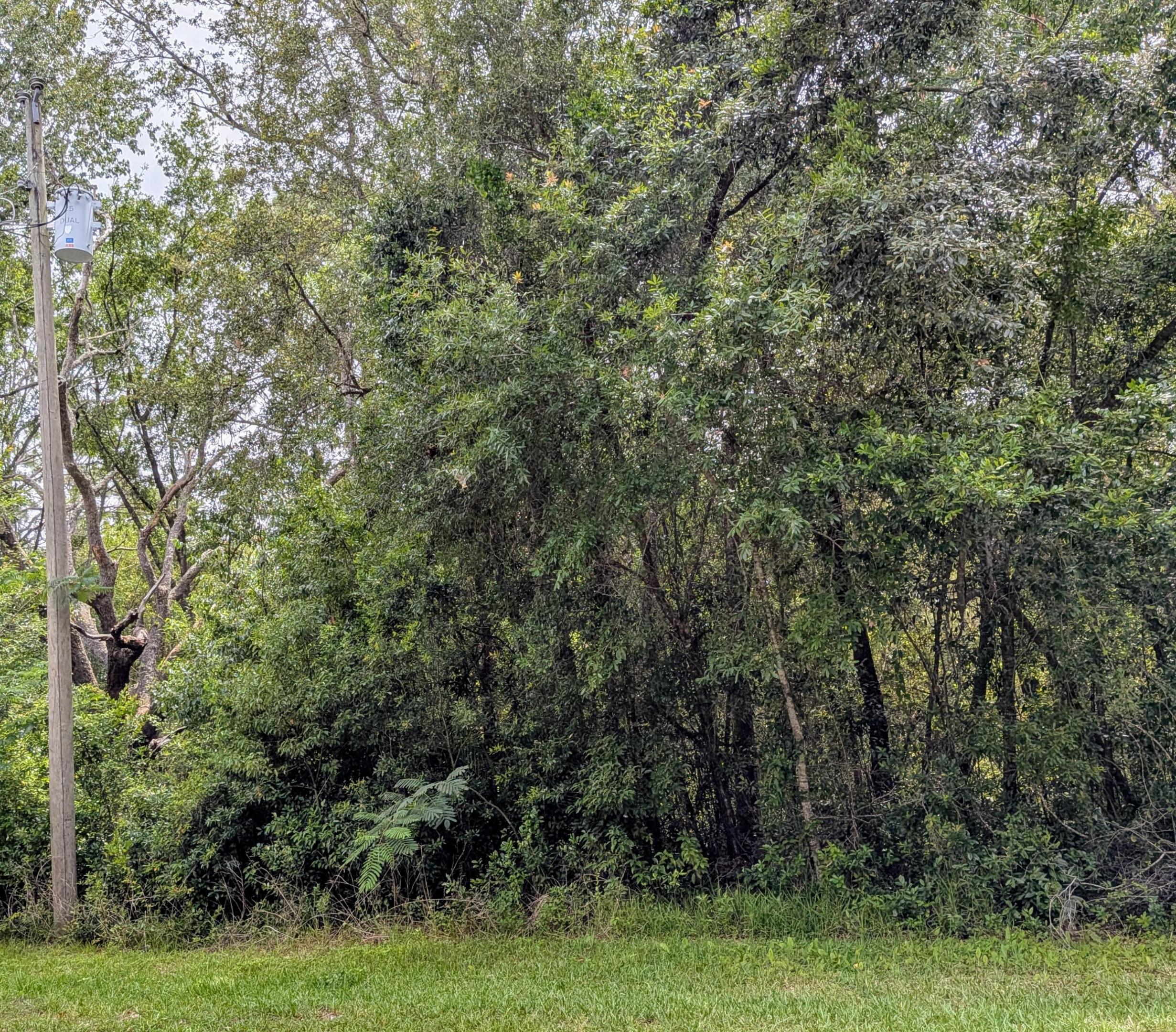 CITRUS SPRINGS UNIT 04 - Land