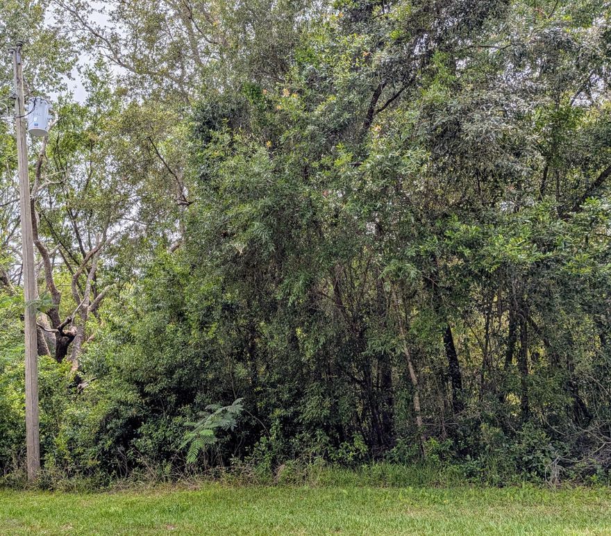 Discover the perfect canvas for your future home on this 10,000 sq ft lot in Citrus Springs! Located right next to another available corner parcel, this lot offers flexibility for buyers looking to build with extra space or invest in a larger footprint. Tucked into a quiet residential area with no HOA, this homesite is minutes from Black Diamond Ranch Golf Club, Rainbow Springs State Park, shopping, and outdoor adventures along Florida's Nature Coast. Seller is open to selling both lots together—a rare opportunity to secure side-by-side properties in this growing community. Build now or hold for future investment!