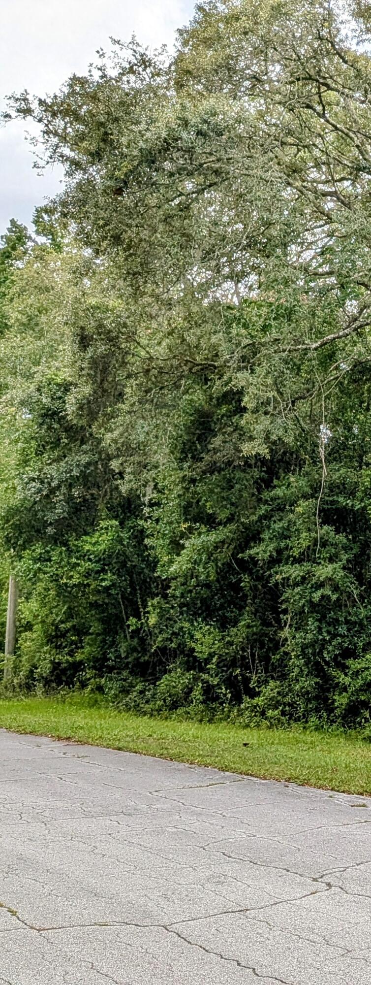 CITRUS SPRINGS UNIT 04 - Land