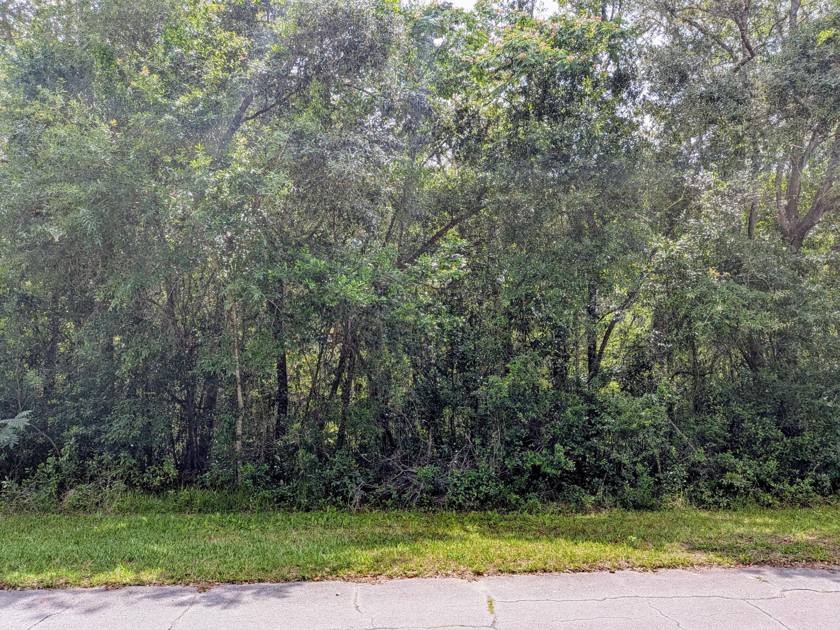 CITRUS SPRINGS UNIT 04 - Land