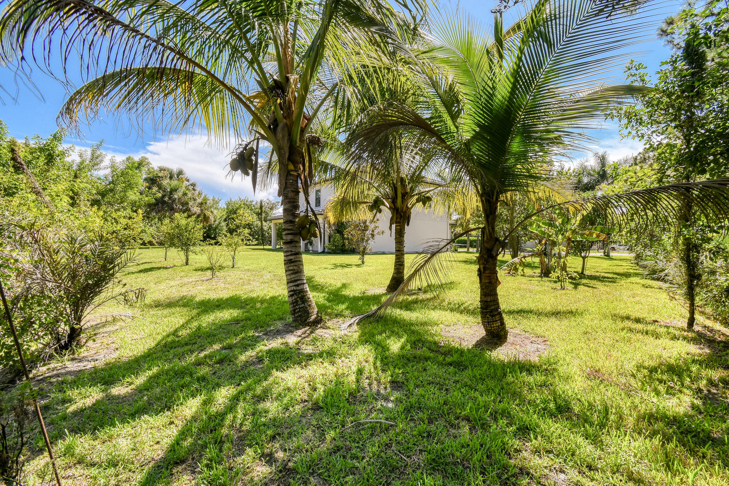 SAND TRAIL (AKA COPPERLEAF) - Residential