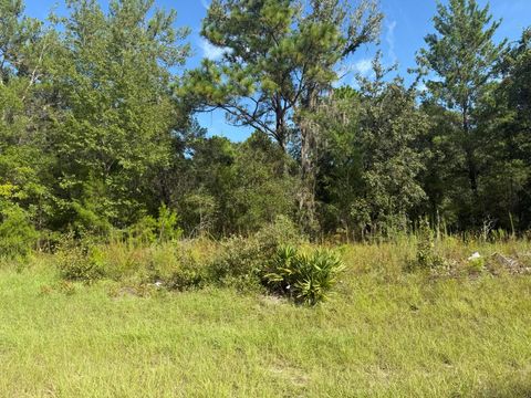 Tbd 79th Terrace Dunnellon FL 34432