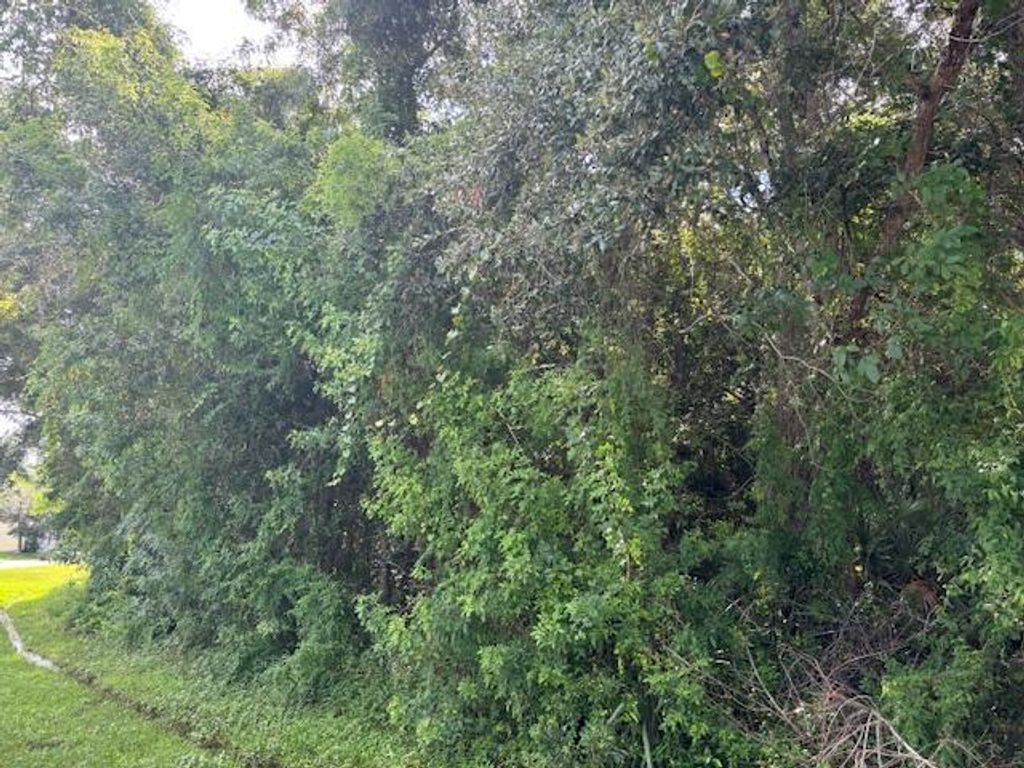 Photo of 1922 SE Mandrake Circle, Port Saint Lucie, FL 34952 (MLS # R11023163)