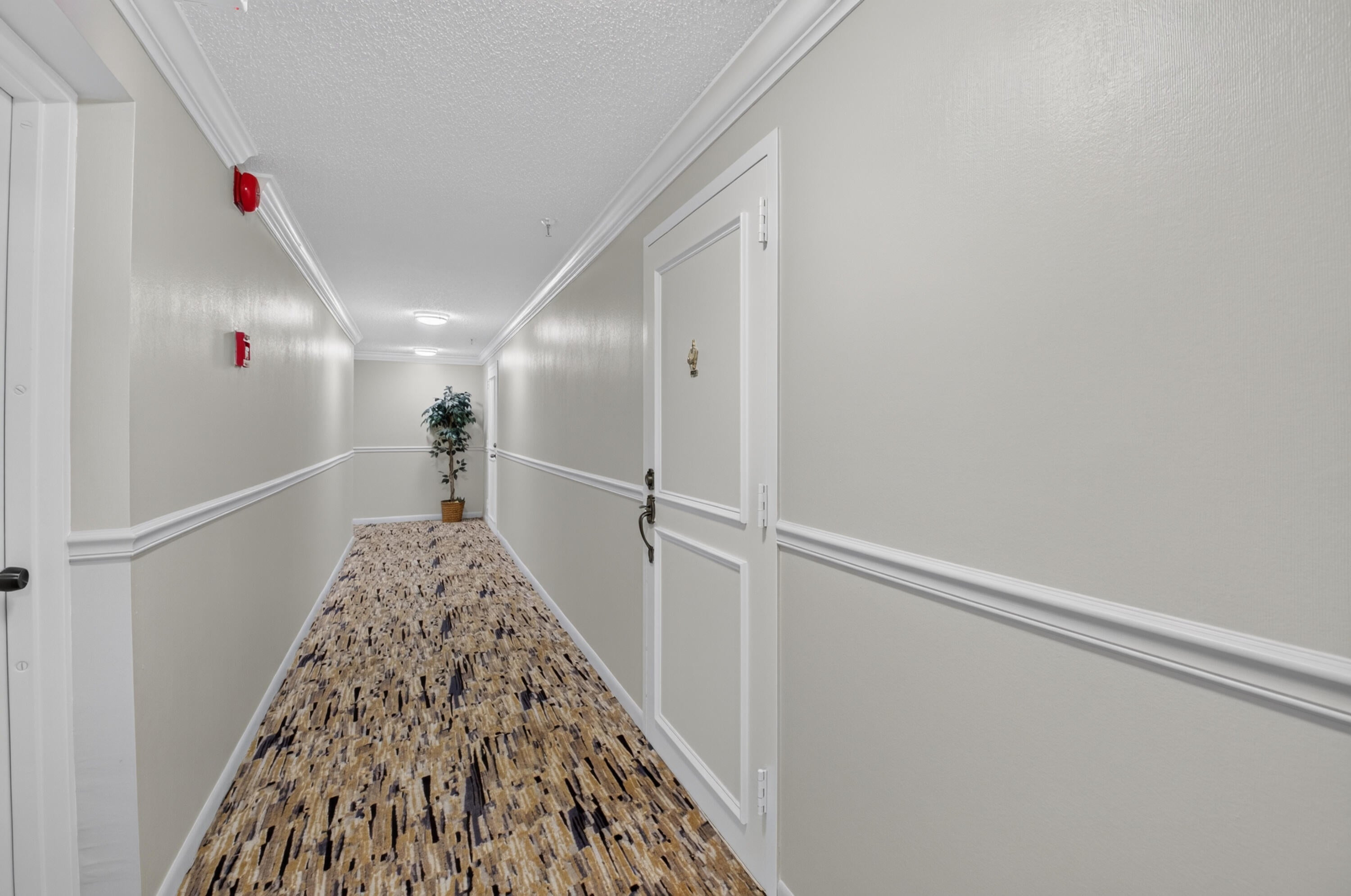 6895 WILLOW WOOD Drive 1066