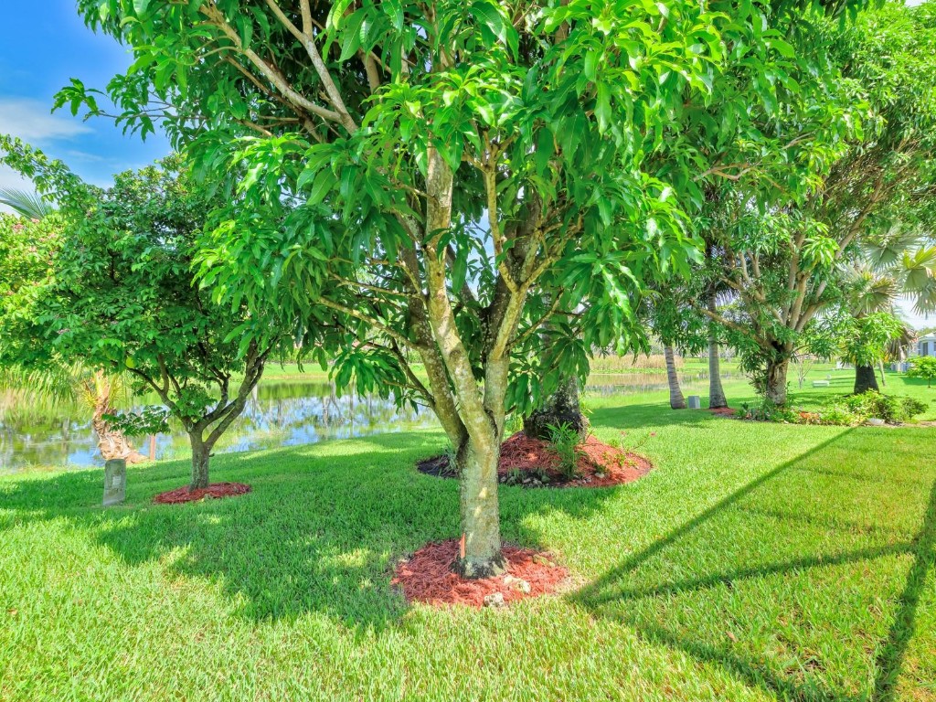 Sector 8, 9 & 10 - Residential