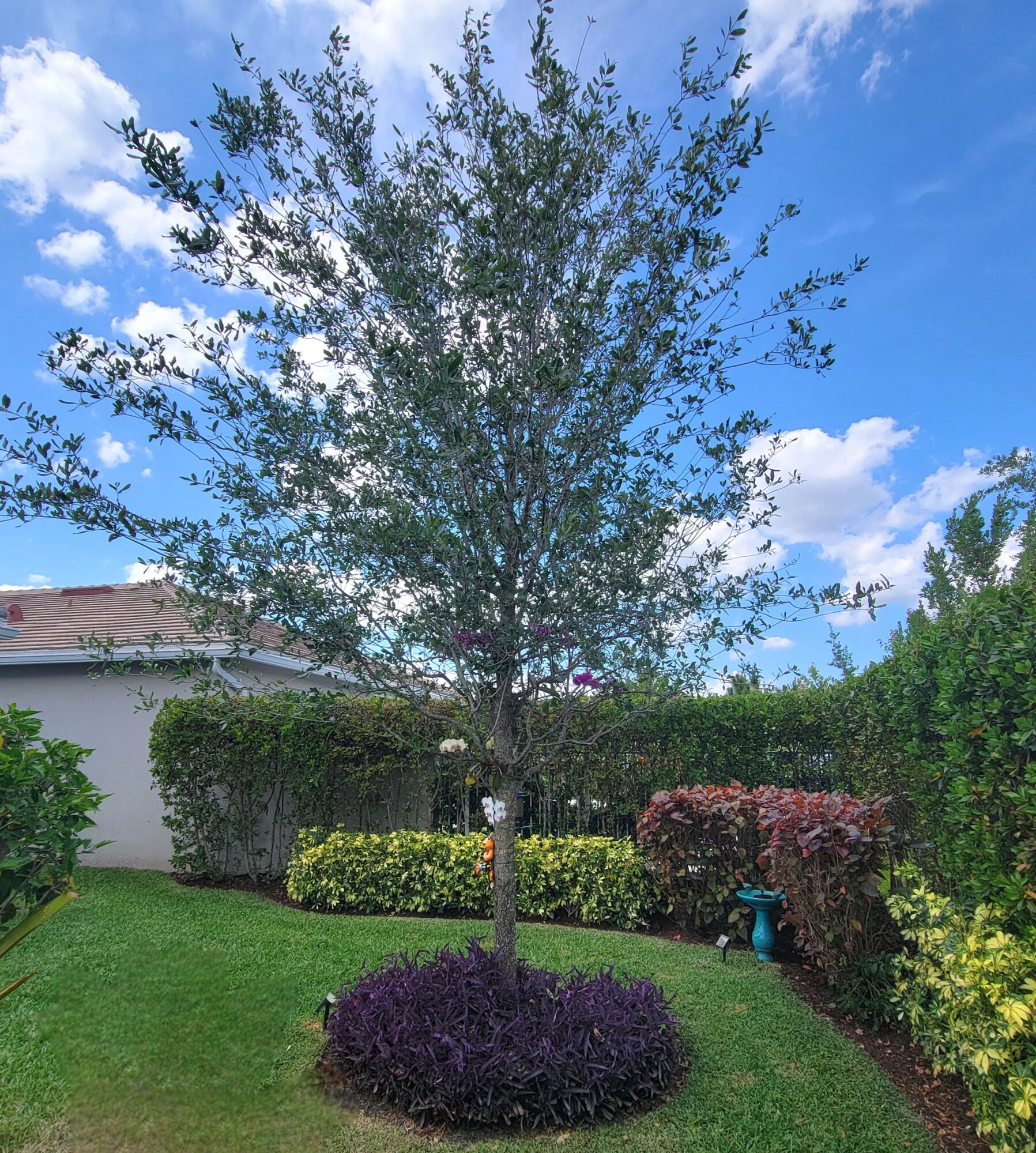 WINDSONG ESTATES - Residential