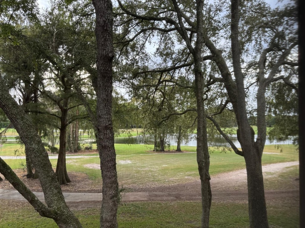 CONCORD VILLAGE - Residential