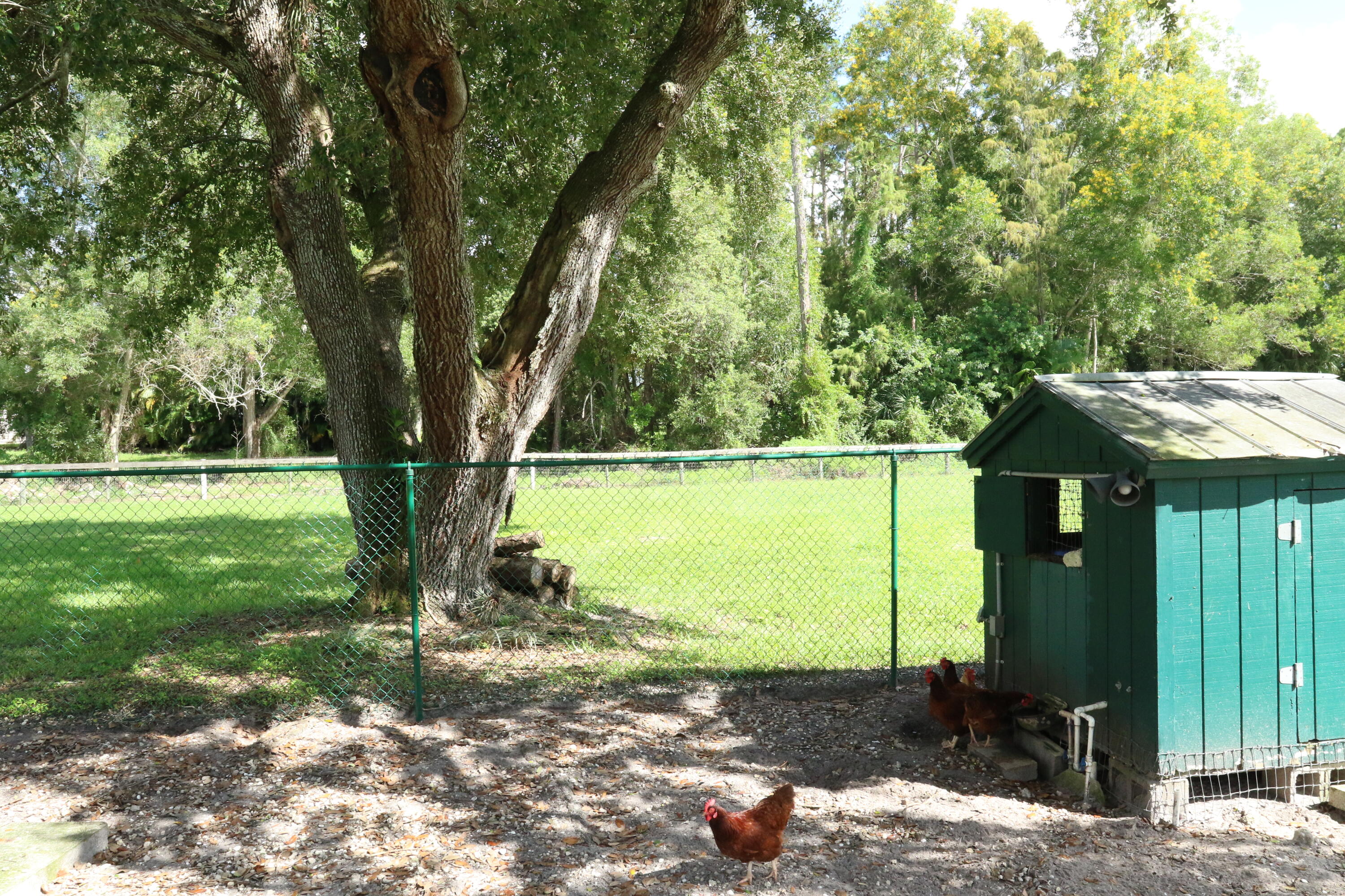 lakeworth - Residential