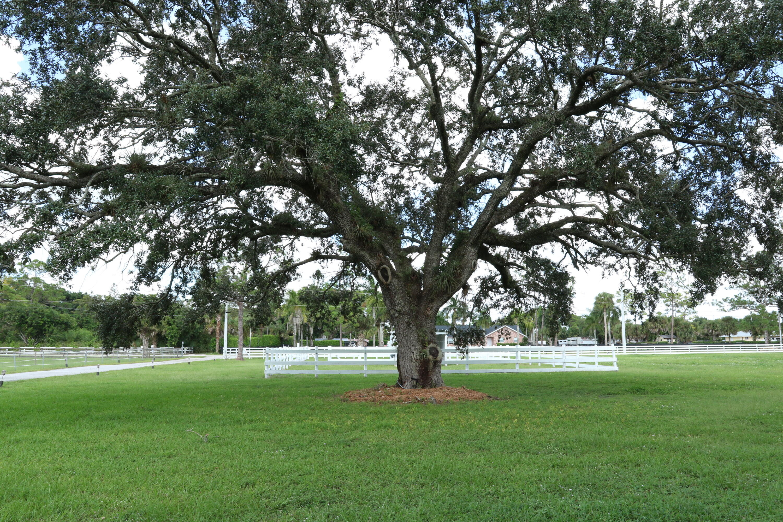 lakeworth - Residential