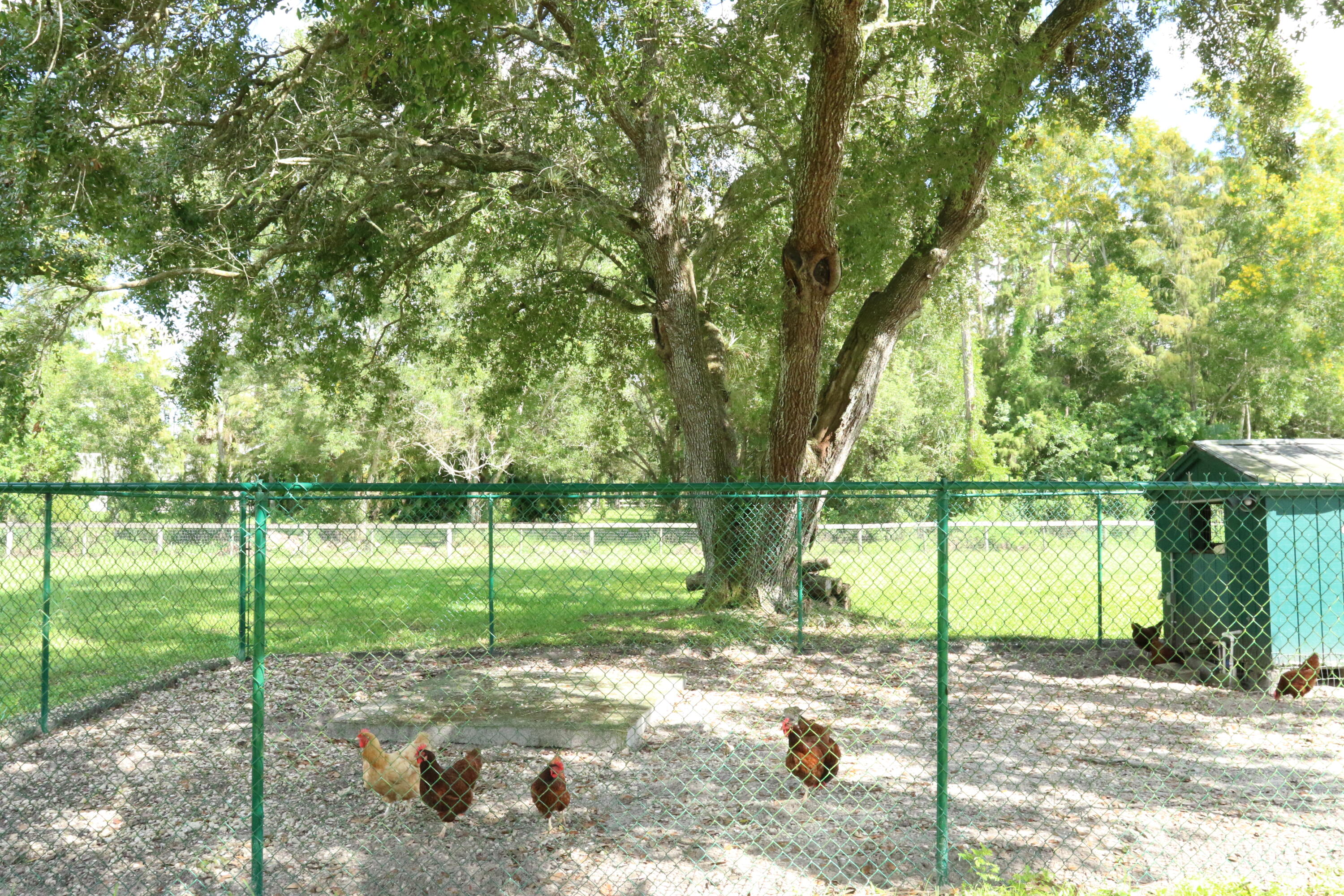 lakeworth - Residential