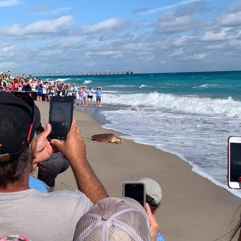 SEA COLONY CONDO - Residential Lease