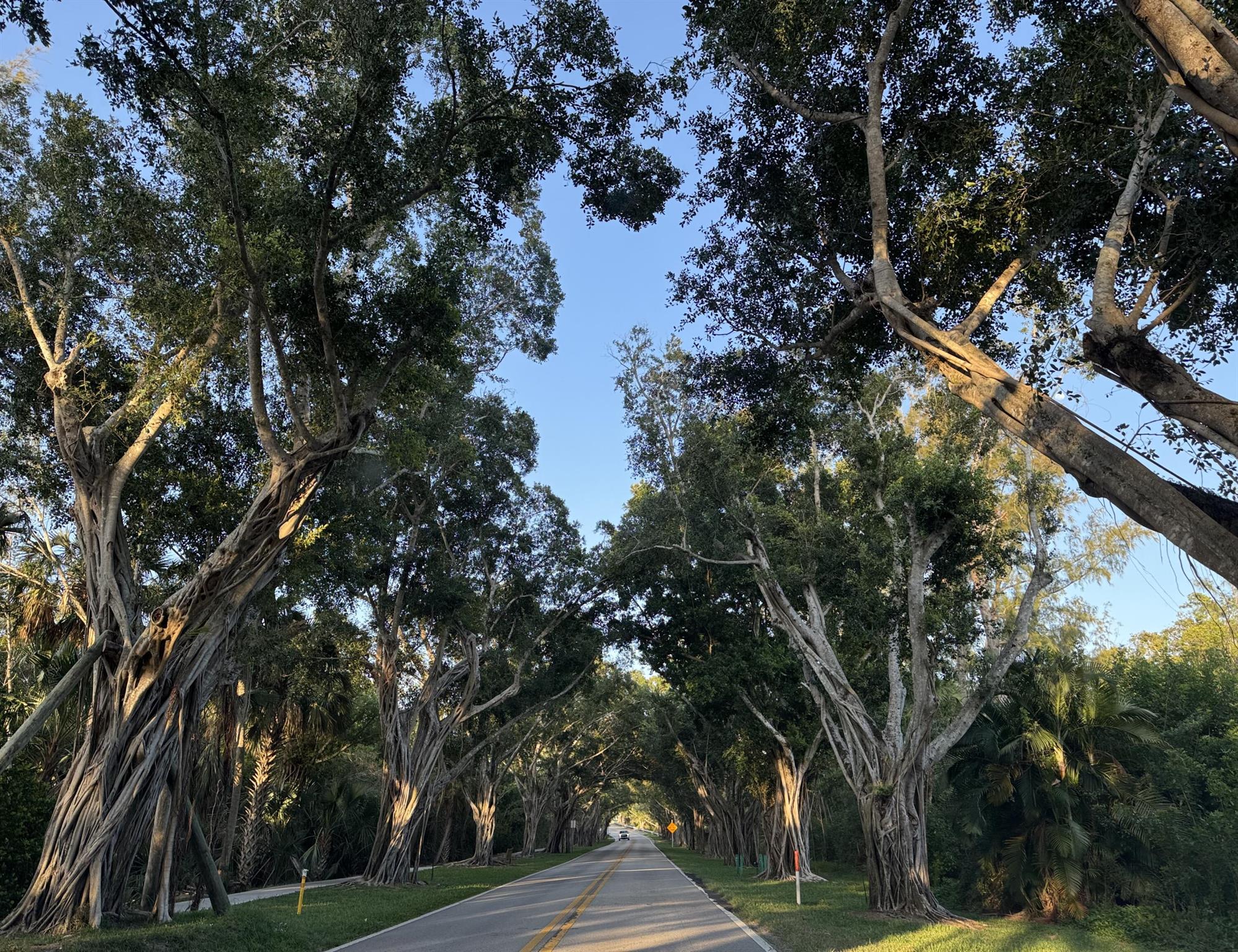 TREASURE COVE - Residential