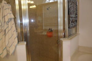 BILTMORE GROVE - Residential