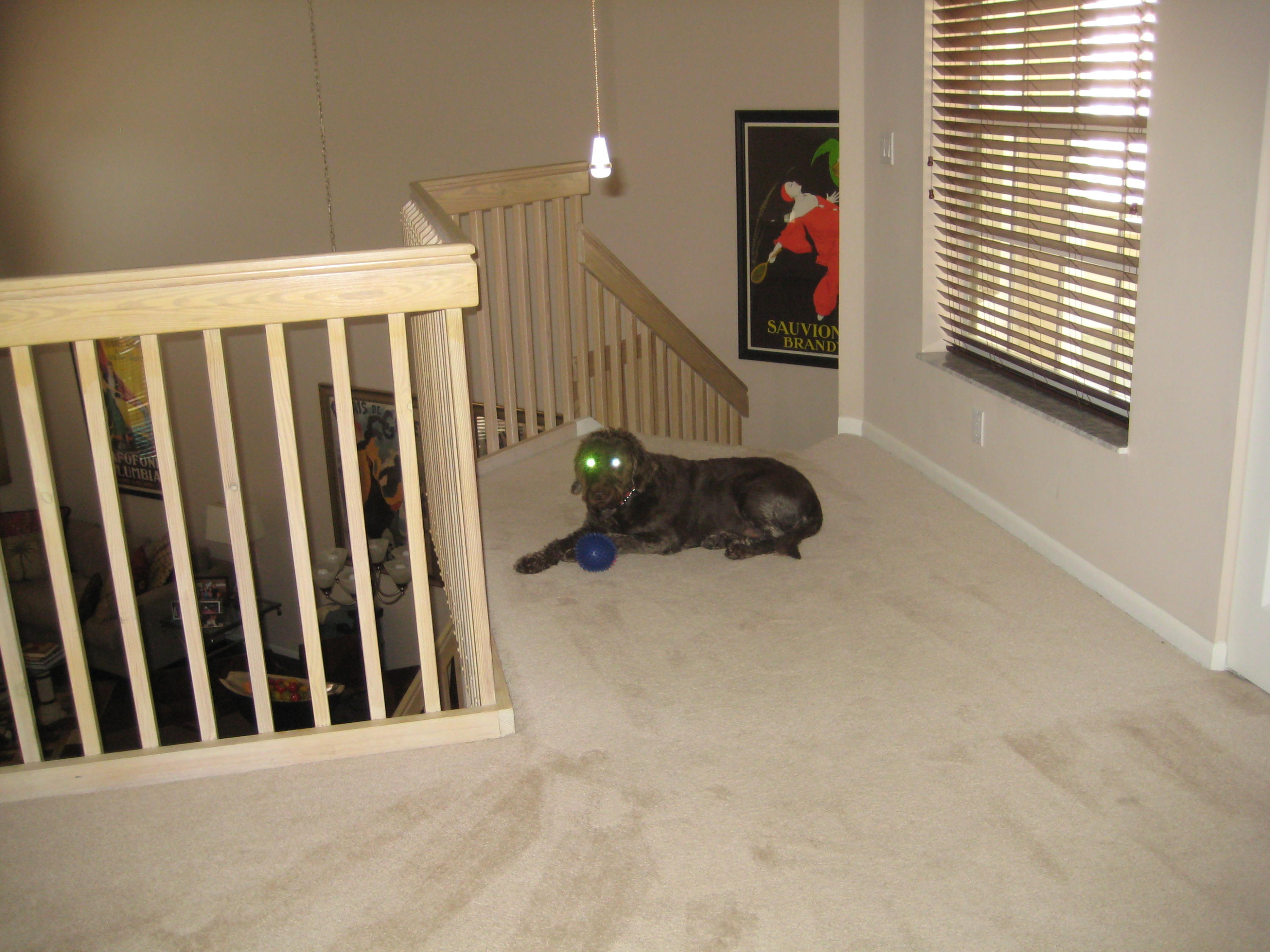 COSTA BRAVA - Residential