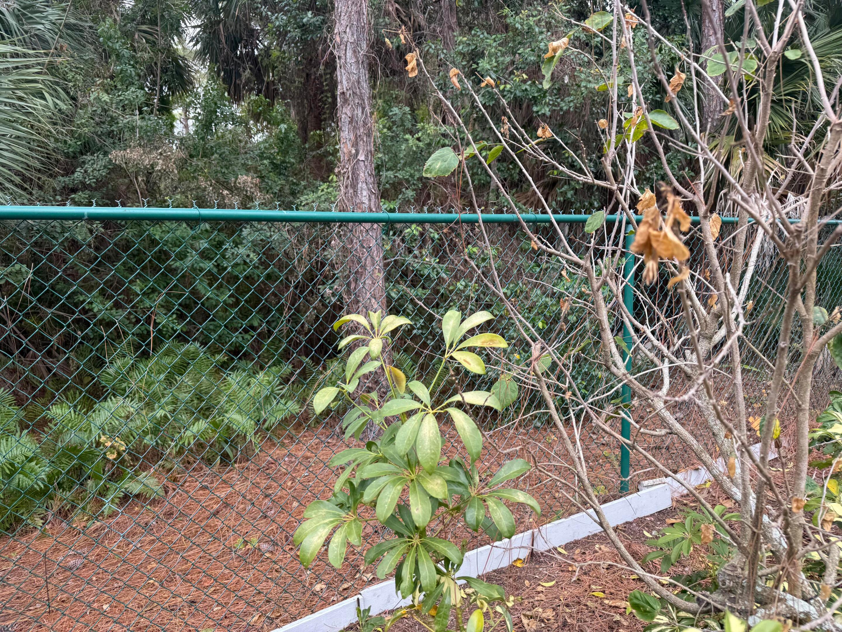 Outdoor Resort - Land