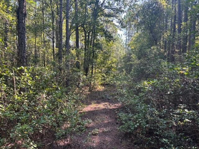 Rio De St. John - Land