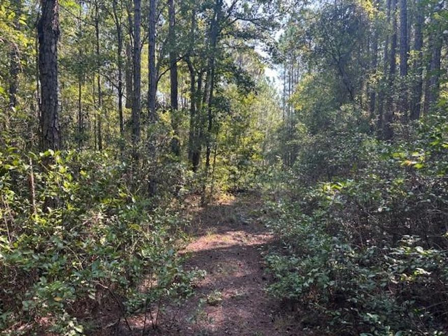 Property adjacent available for purchase. Zoned single familyOwner finance with only $1,500 down