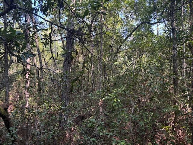 Rio De St. John - Land