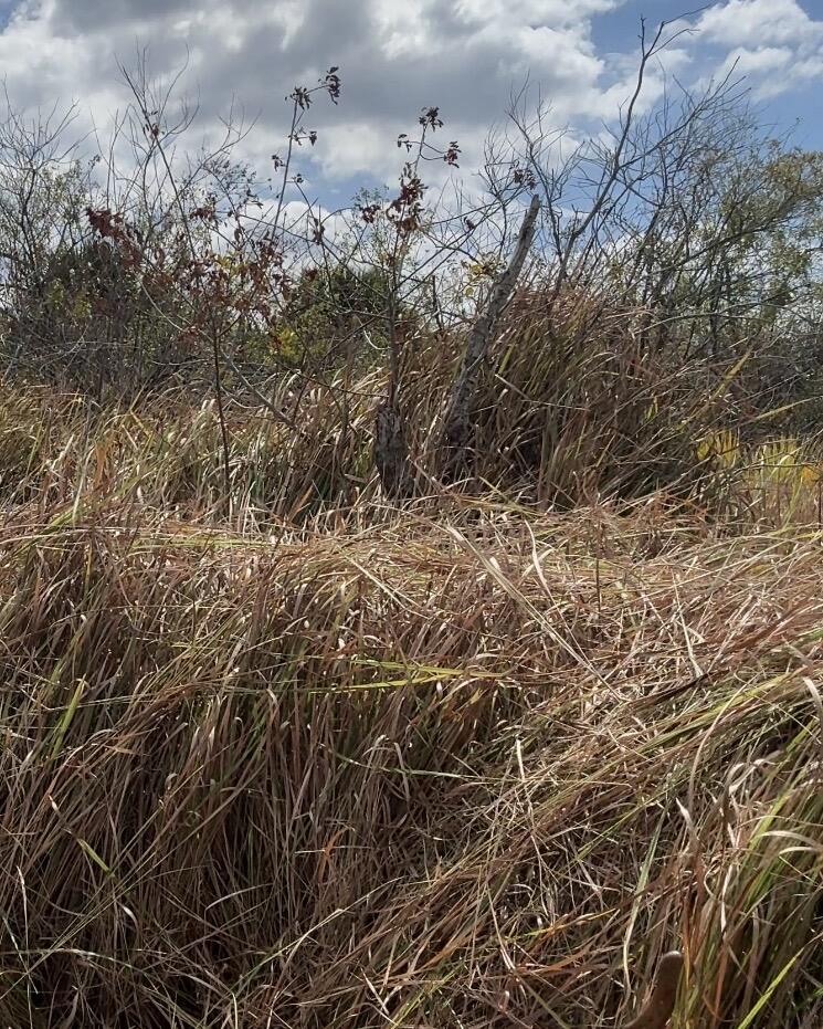 PORT MALABAR UNIT 53 - Land