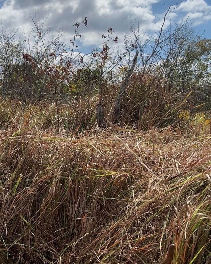 Build your dream home on this 0.23-acre residential lot located in the heart of Palm Bay, FL! This lot offers a fantastic opportunity for homeowners and investors alike. With new homes being built in the area, this location is ideal for those seeking a peaceful suburban setting while staying close to all that Palm Bay has to offer. Don't miss this chance to secure your piece of Florida paradise, drive by and see it today! Multiple lots available.