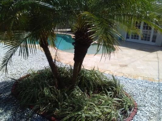 BEACHWAY ESTATES - Residential