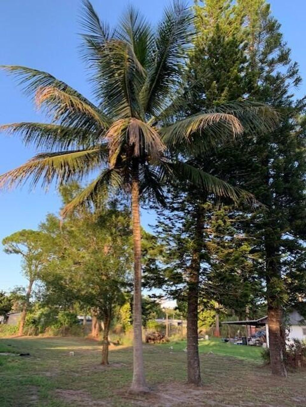 Photo of 0 SE Isabelita Avenue, Port Salerno, FL 34992 (MLS # R10874155)