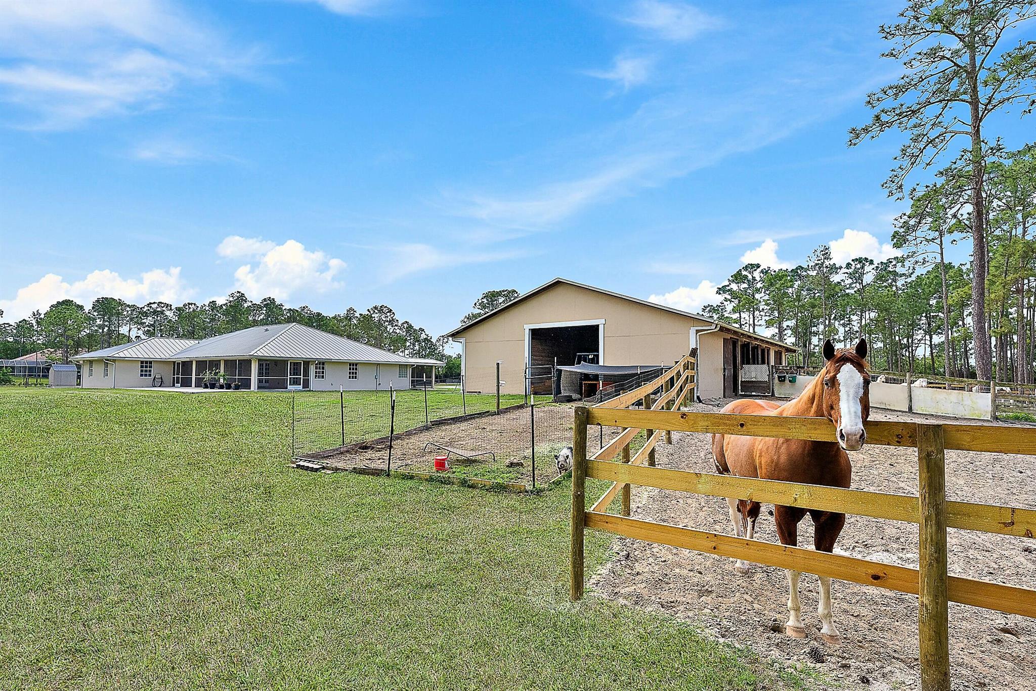 13006 Arrowwood Drive