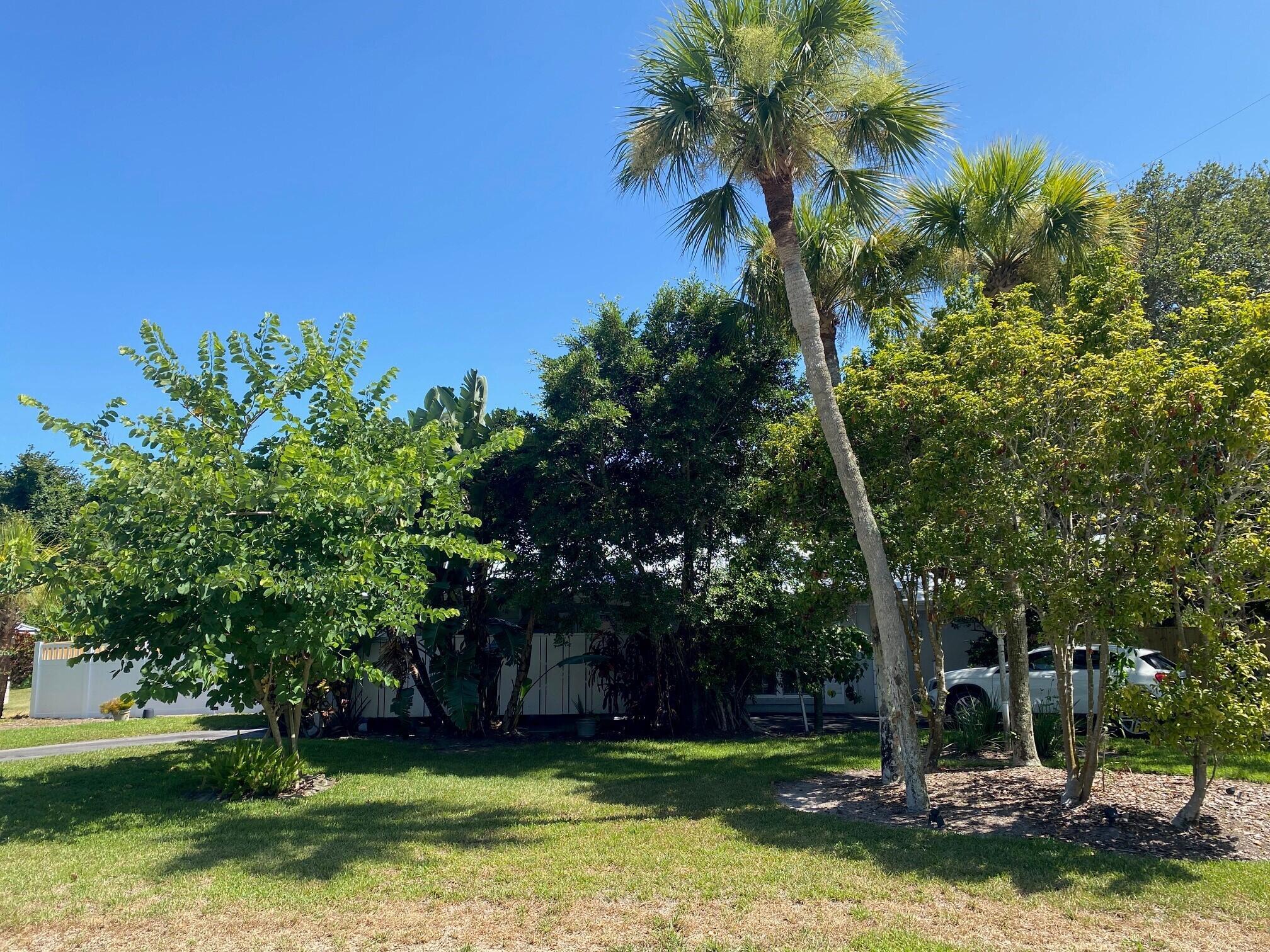 WYN COVE - Residential Lease