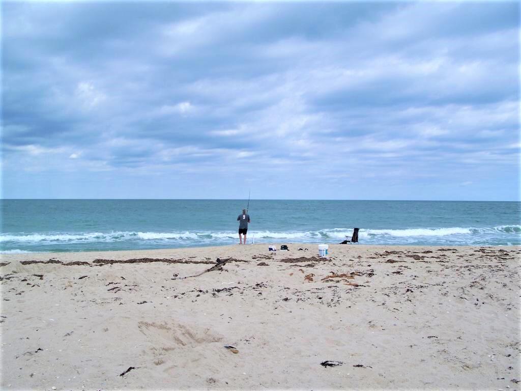 WYN COVE - Residential Lease