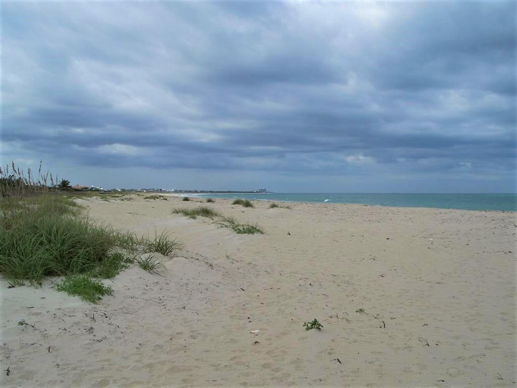 WYN COVE - Residential Lease