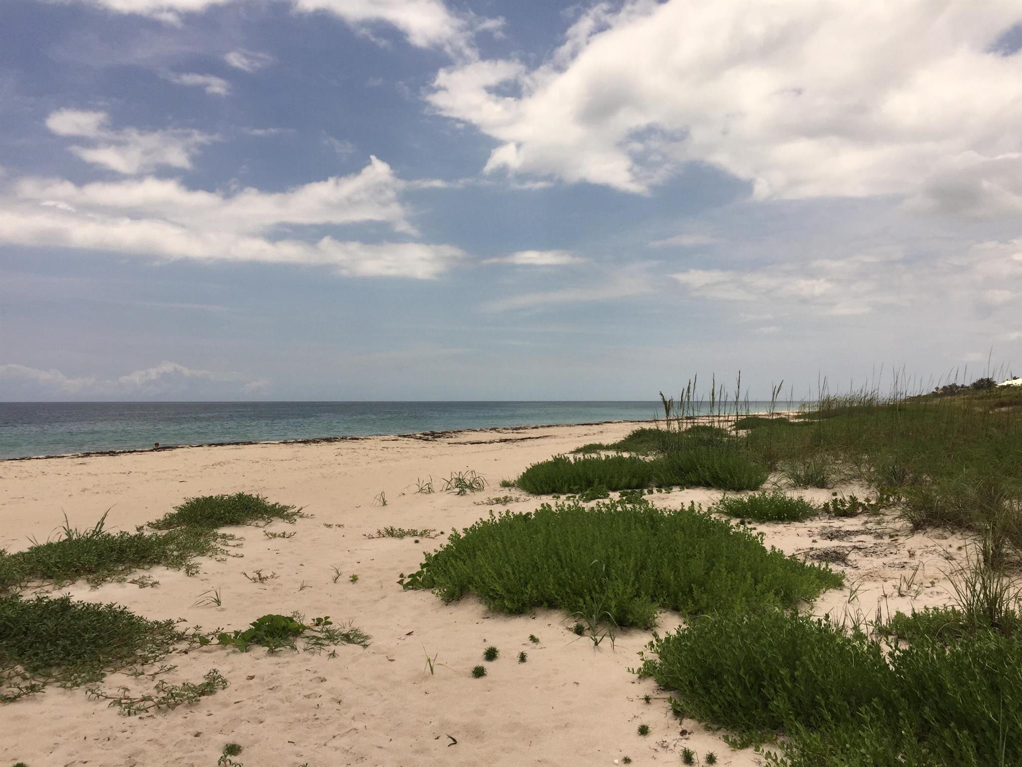 WYN COVE - Residential Lease