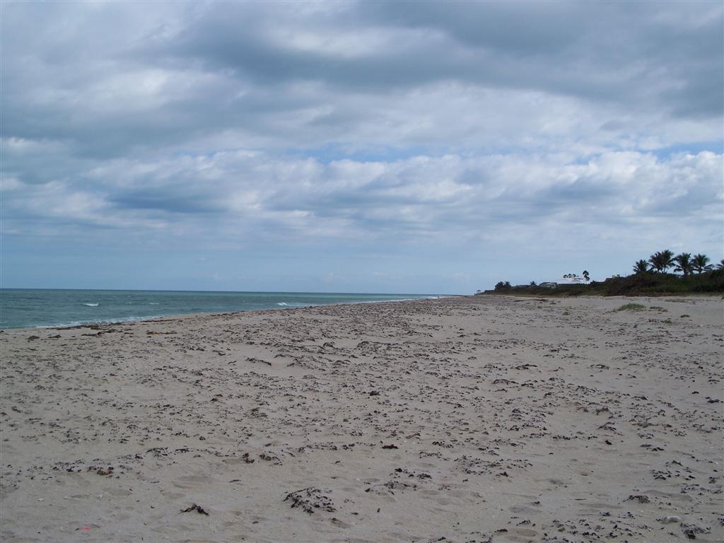 WYN COVE - Residential Lease