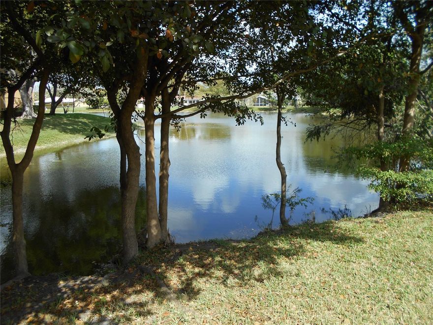 Beautiful 4-bedroom, 2-bath lakefront pool home with numerous updates and no HOA! Enjoy the Florida lifestyle in your private backyard featuring a saltwater free-form pool with jetted spa and a screened pool cage, perfect for relaxing or entertaining while overlooking the lake. Inside, you’ll find new Stainmaster carpet and closet organizers in the bedrooms, and luxury vinyl plank flooring in the primary bedroom. The A/C and attic ductwork were both replaced in 2025, providing efficiency and peace of mind. Additional updates throughout the home make it truly move-in ready. Lake-fed irrigation keeps the landscaping lush while helping save on water costs. A wonderful opportunity to own a well-maintained waterfront home with modern upgrades!