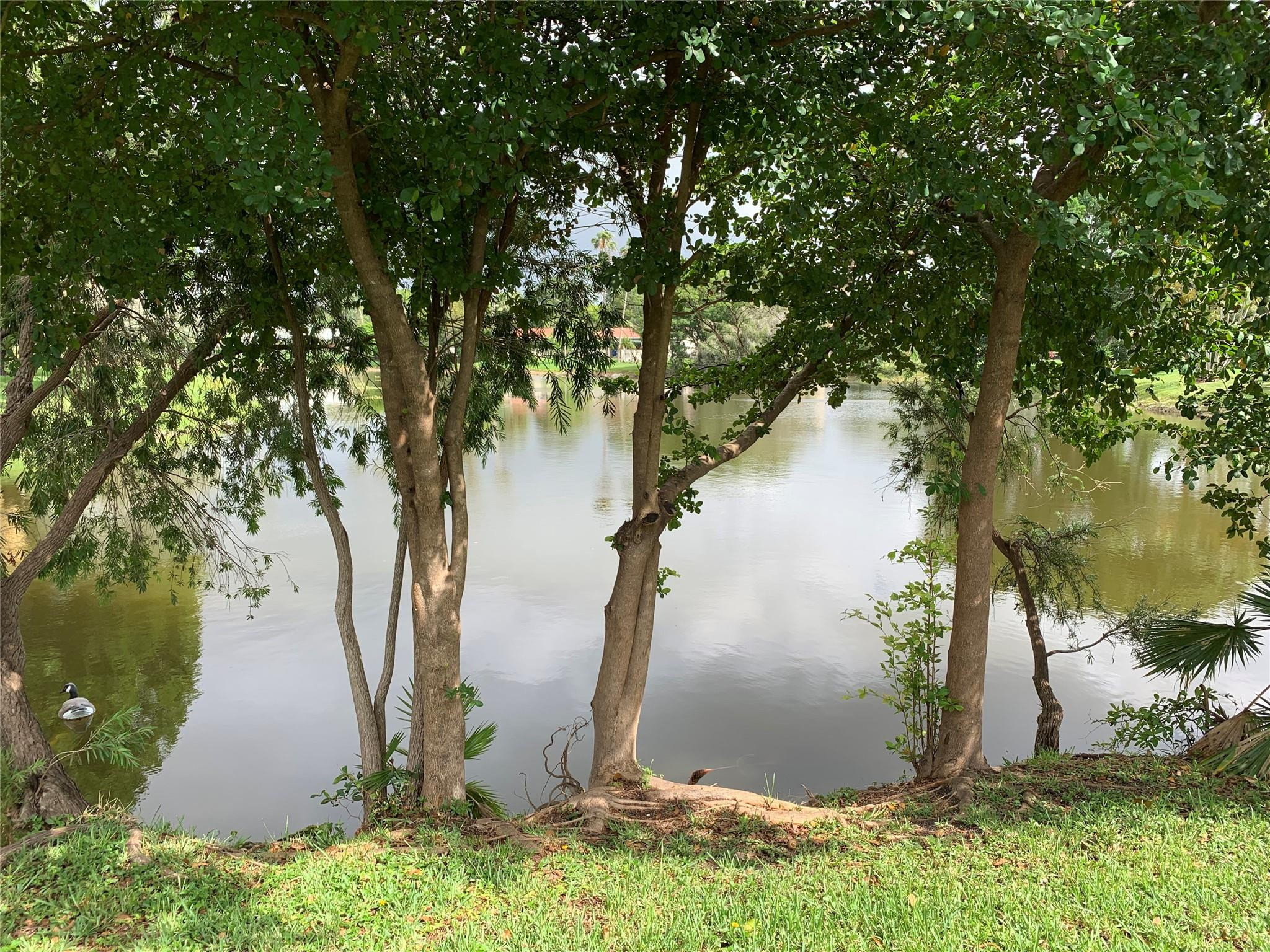 Wood Lake 89-49 B - Residential