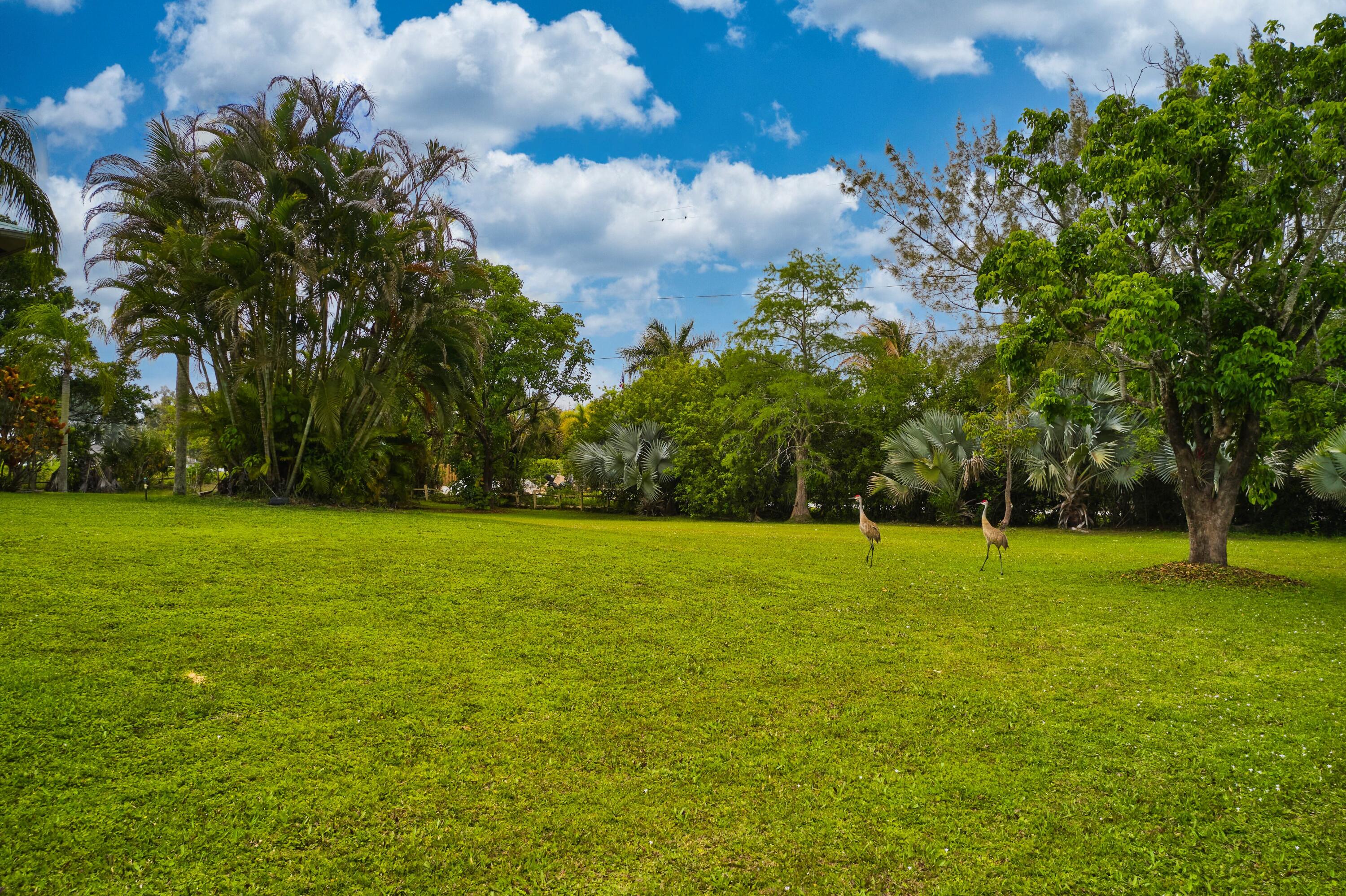 Palm Beach Country Estates - Residential