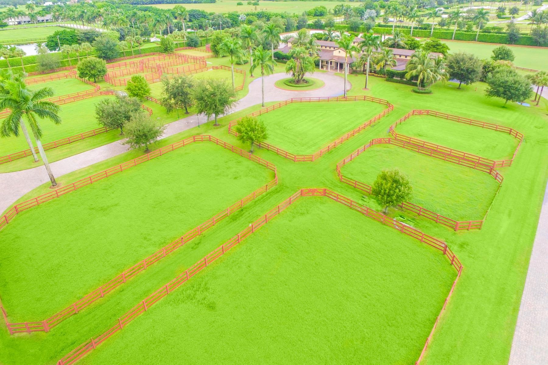 Palm Beach Point East - Residential