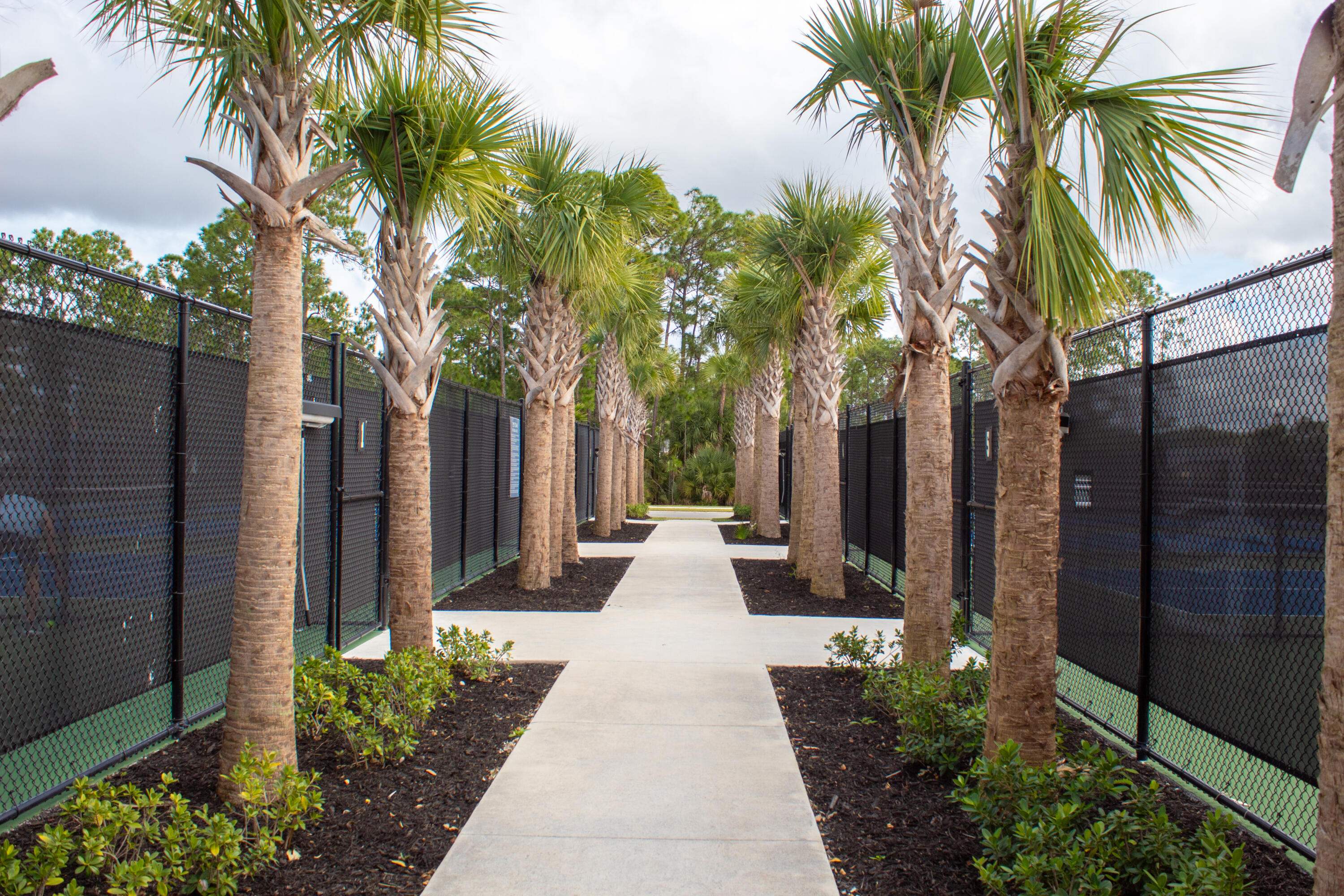 TIMBERS AT EVERLANDS PHASE 1A - Residential