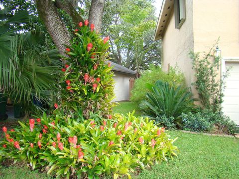 A home in Cooper City