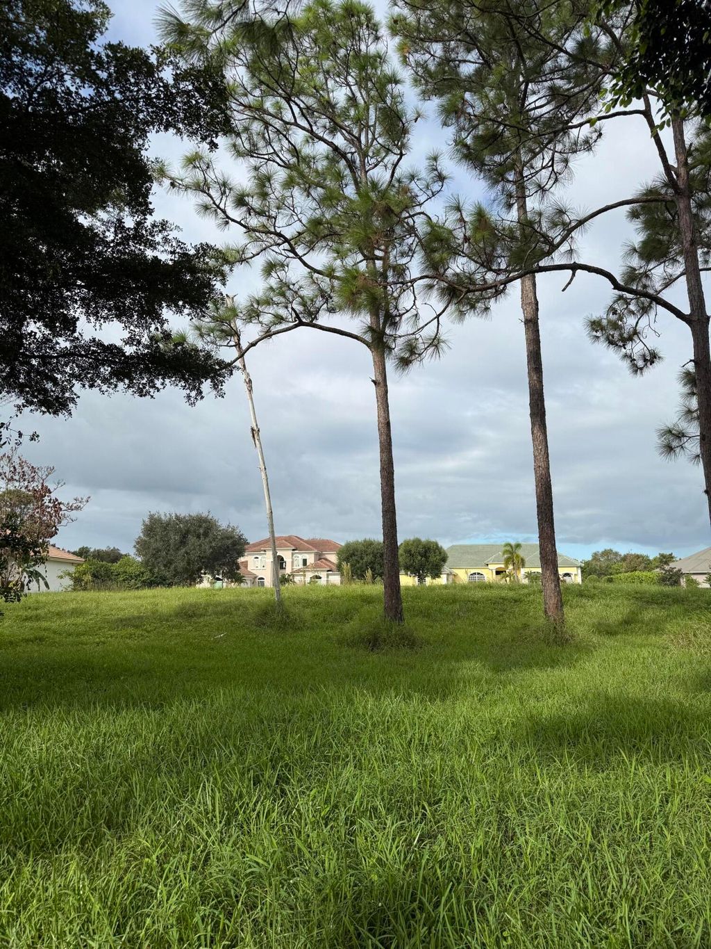 Photo of 10328 SW Rookery Way, Palm City, FL 34990 (MLS # R11131053)