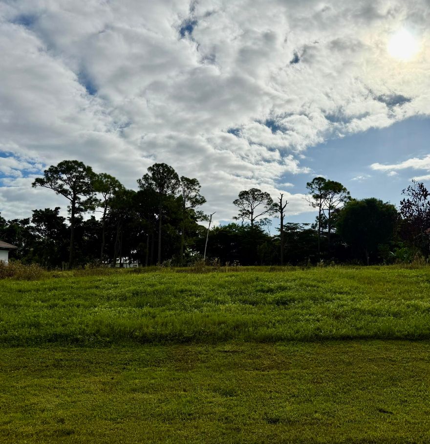 Nestled within the prestigious Cobblestone, this rare vacant land invites you to imagine your own slice of paradise: picture morning sunlight filtering through majestic oaks, the gentle rustle of palms in the breeze, and the lush greens of the Cape Club's fairways as your  backdrop. This oversized lot offers boundless canvas for your dream home, pool, outdoor entertaining and more — yet with the privacy and prestige of a guard-gated, golf-course community. 
Minutes from I-95 and local amenities, you'll be close enough for convenience, far enough for serenity. Don't just buy land — claim the lifestyle.