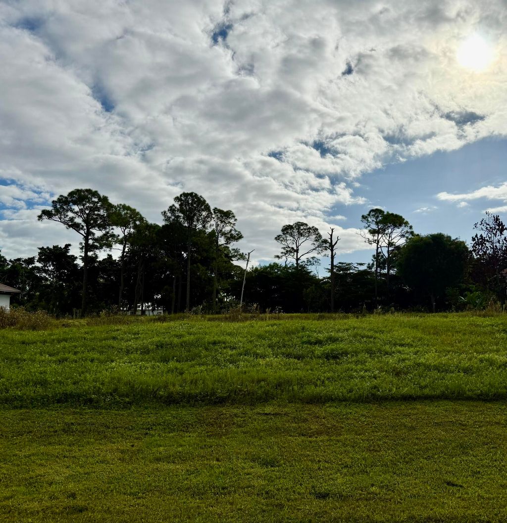 Photo of 10328 SW Rookery Way, Palm City, FL 34990 (MLS # R11131053)