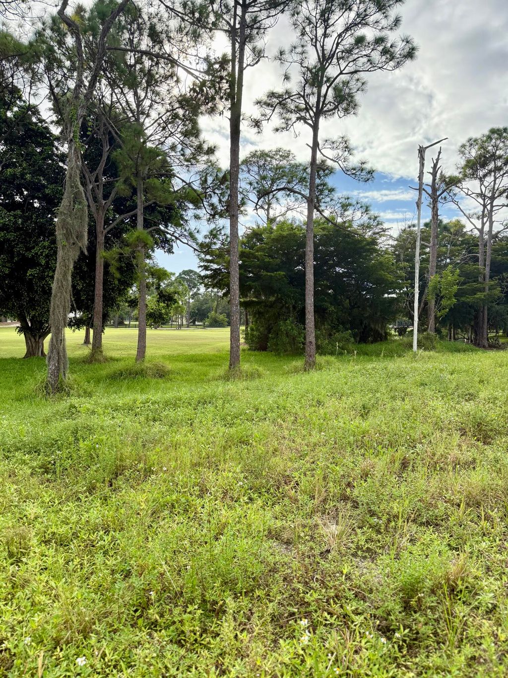 Photo of 10328 SW Rookery Way, Palm City, FL 34990 (MLS # R11131053)