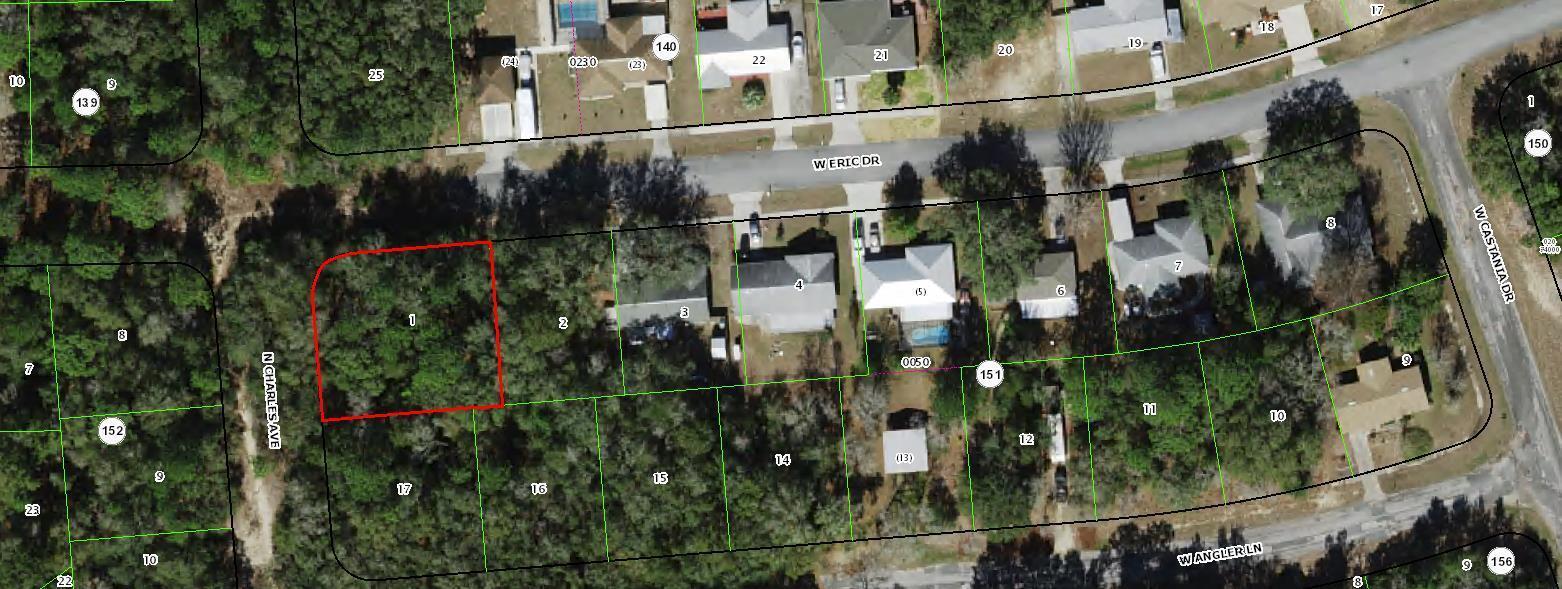 Build a brand new home on this .25 acre corner homesite in the growing and popular Citrus Springs.