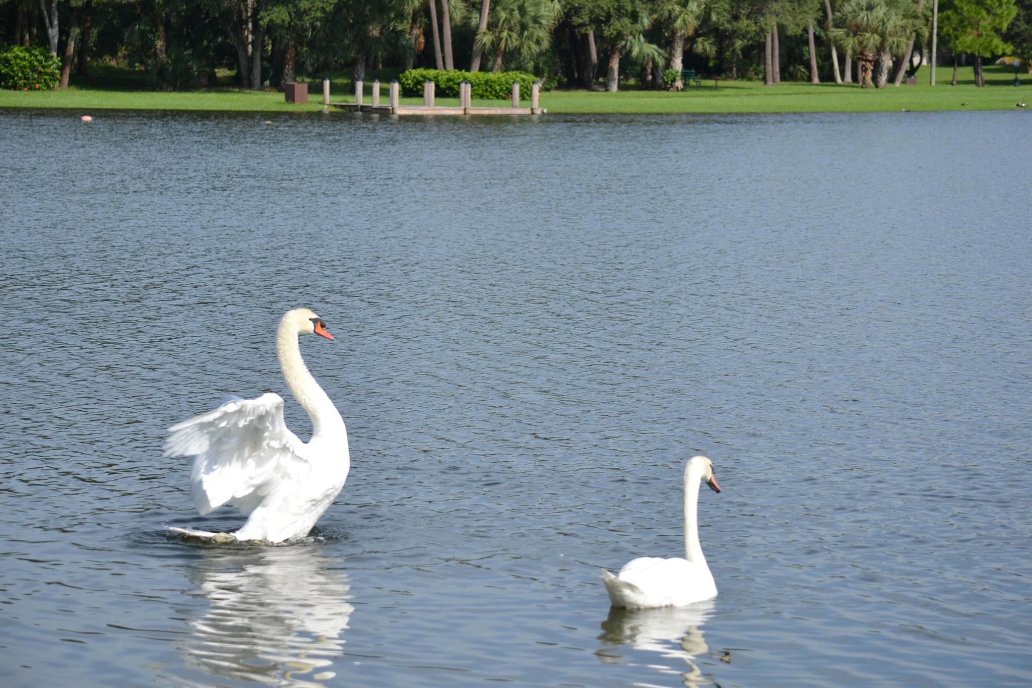 LAKE WINDWOOD CONDO - Residential