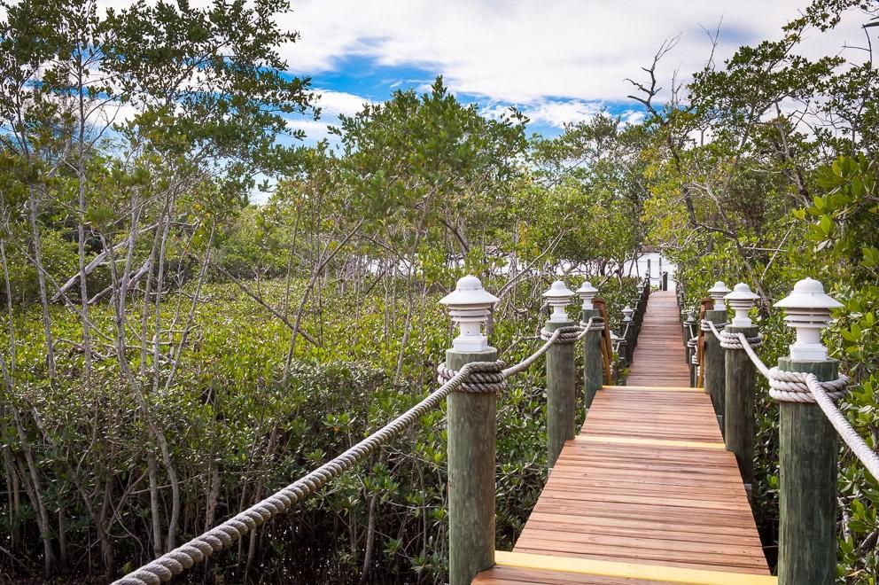 River at The Bluffs - Residential