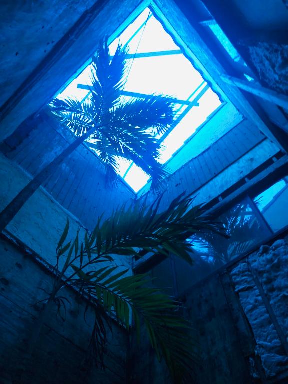 COVENTRY GREEN AT WELLINGTON - Residential