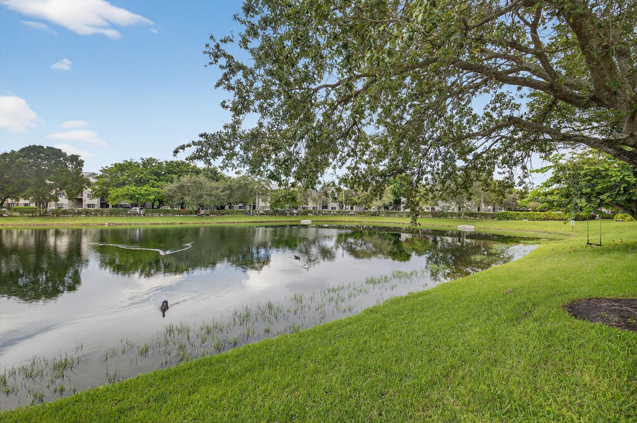 BANYAN TRAILS - Residential