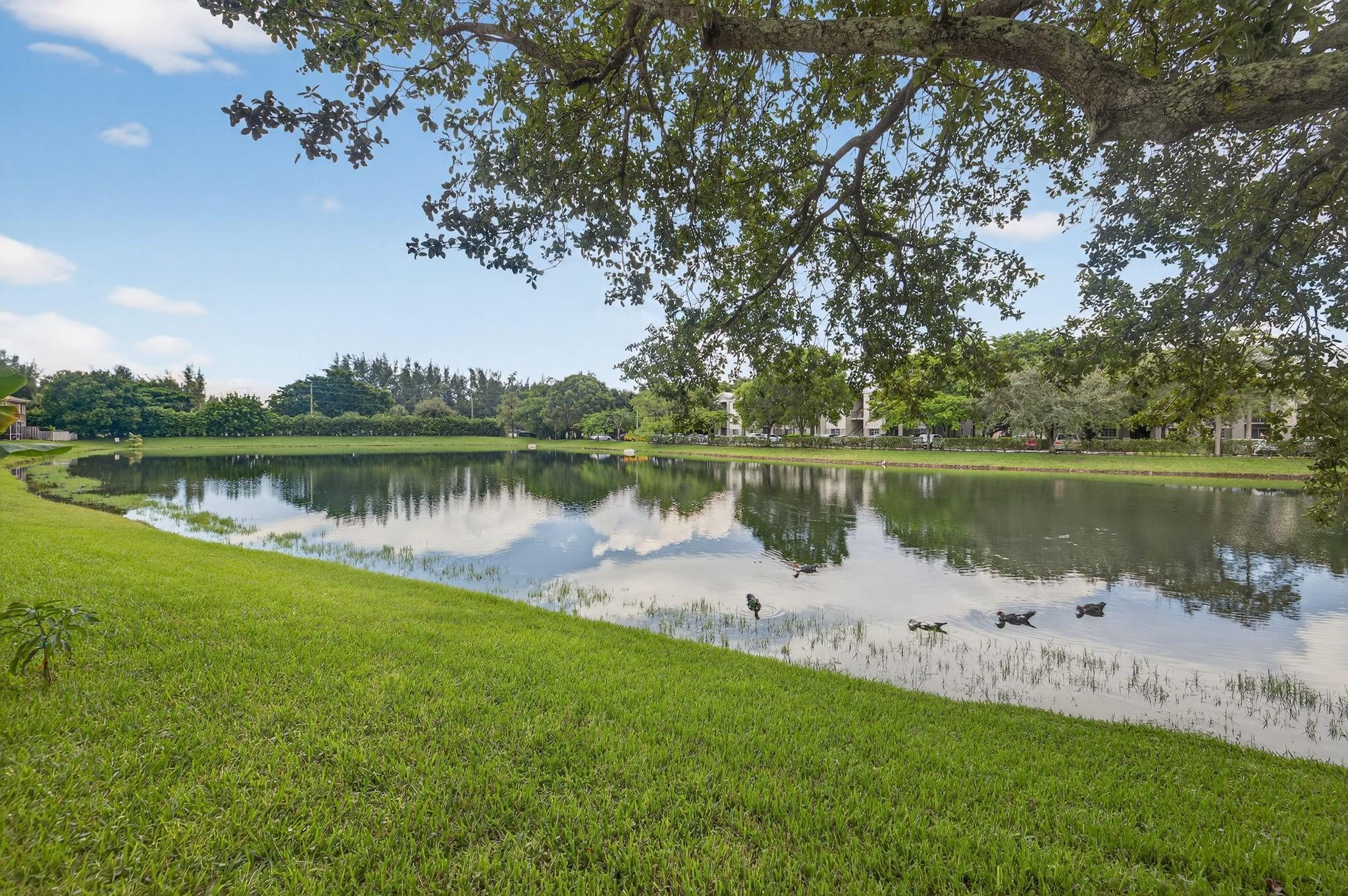 BANYAN TRAILS - Residential